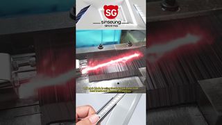 260109 1 VÍDEO DE SINSEUNG