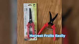 Tesoura para colheita de frutas SK5 em aço