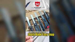 260114-1 VÍDEO SINSEUNG